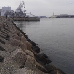 フカセがいいっ!