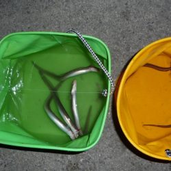 海からのお年玉w