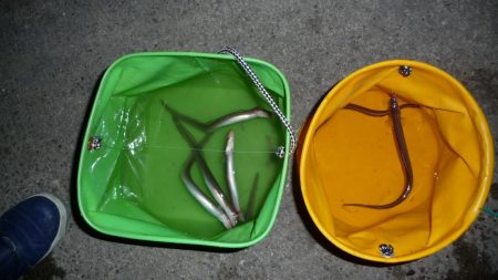 海からのお年玉w