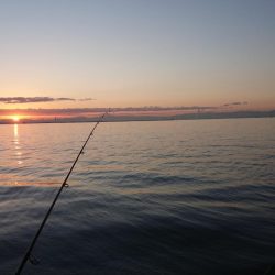 湾奥ウインターシーバスフィッシング