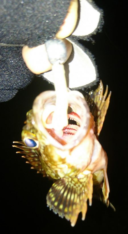 食品コンビナート ガシリング