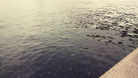 潮の色悪すぎだった夕練