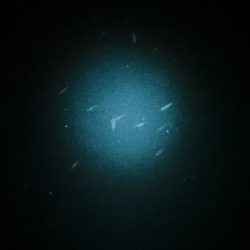 メバルパラダイス