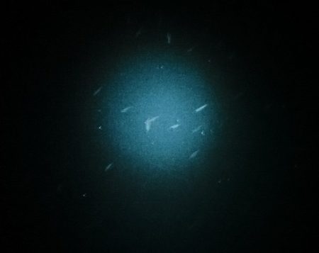 メバルパラダイス