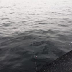 流れの当たる側で漸くゴゴン!