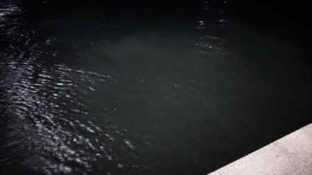 久々ナイトシーバス調査