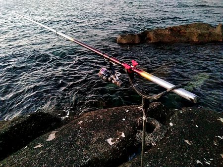 初アオリイカ釣れました!!