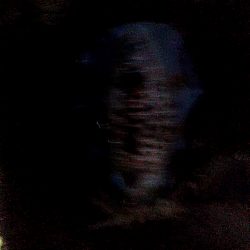 中型アオリイカ二杯上がりました!!