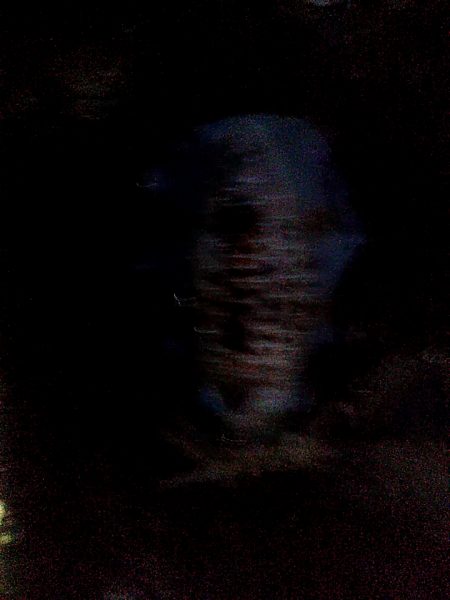 中型アオリイカ二杯上がりました!!