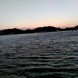 メバルが釣れまたね!!