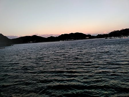 メバルが釣れまたね!!