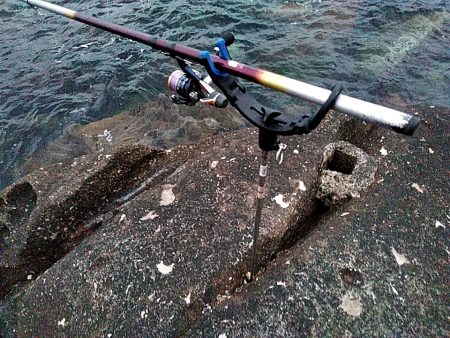 アオリイカ1杯あがりました!!