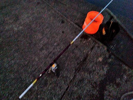 メバルとガシラ釣れましたが・・・