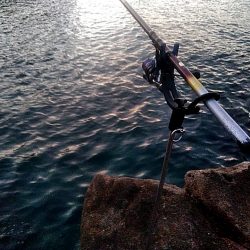 寒かったですが、何とか1杯キープでした!!