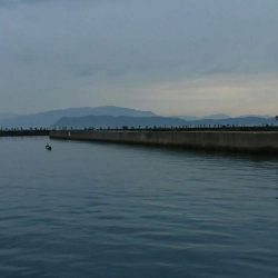 サバゲ―不成立