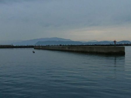 サバゲ―不成立