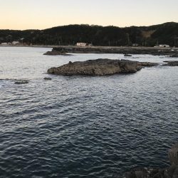 スーパームーンにほだされて冬イカ狙いのエギング釣行