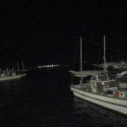 風強すぎました