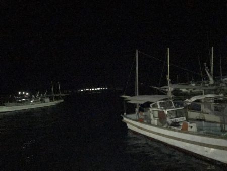 風強すぎました