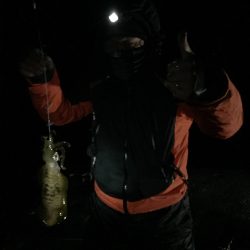 初めてのヤエン