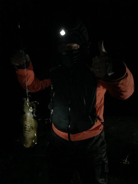 初めてのヤエン