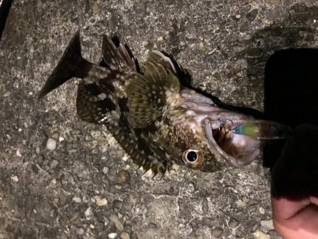 メバプラ ランガン