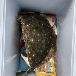 ガス波止投げ釣り