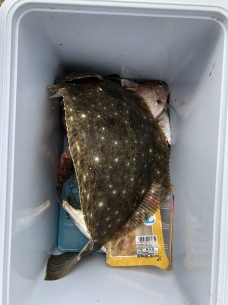 ガス波止投げ釣り