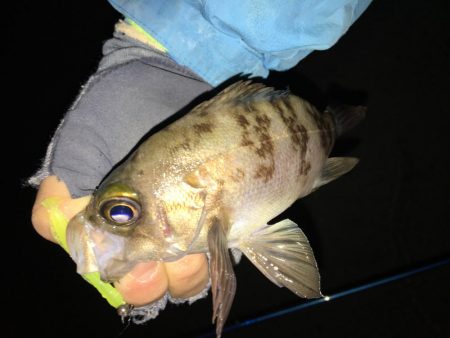 ライトゲーム同窓会