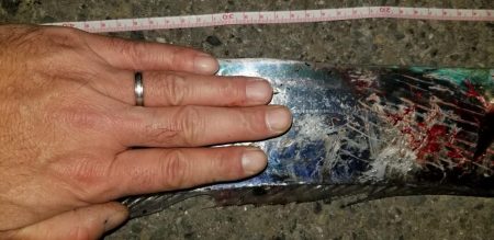 太刀魚ドラゴンとったどー！