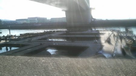 釣り初め 今年大丈夫??