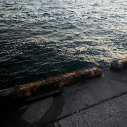 ライトエギング