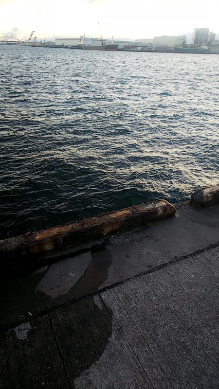 ライトエギング