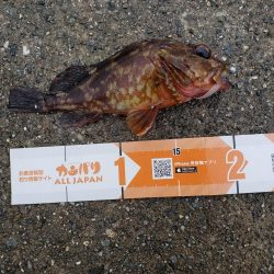 今年初淡路島へ・・・