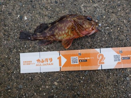 今年初淡路島へ・・・