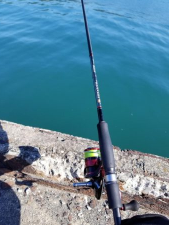 アオリ釣りたい、