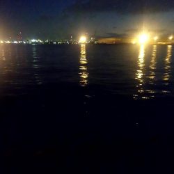 ヒイカとスルメイカ