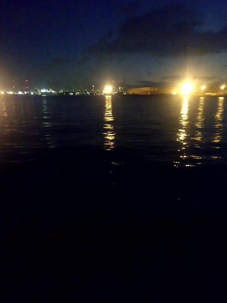 ヒイカとスルメイカ