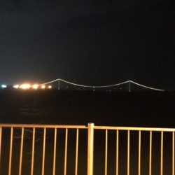 ジグ単で尺越えのタケノコメバル。