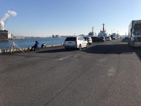 年明けの初釣でマイワシ。