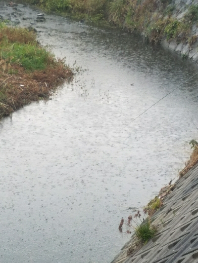 五目釣り ~冬はチョット釣りにくい~