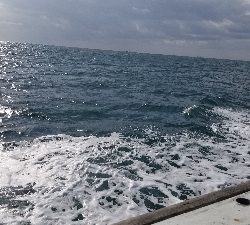 ドラゴンを求めて