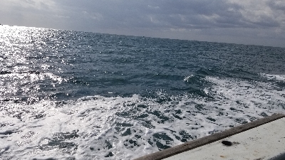 ドラゴンを求めて