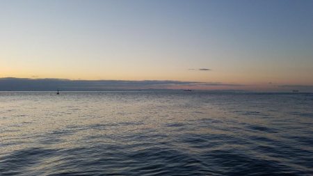 ガシラ釣れてます❗