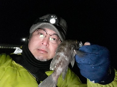 芦屋浜でもメバリング