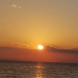 ハゲ釣り　～クジメが出た～