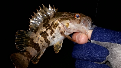 淡路島のポテンシャル２！