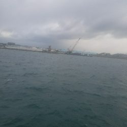 スズキ釣り ~強風高波寒波みぞれ~