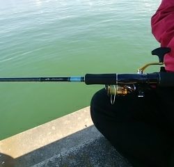 2019年初釣りアイナメ