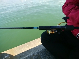 2019年初釣りアイナメ